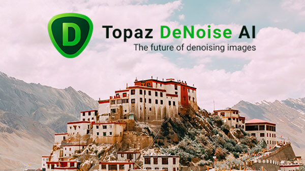 黄玉图像AI快速降噪工具 Topaz DeNoise AI v2.2.7 汉化破解版