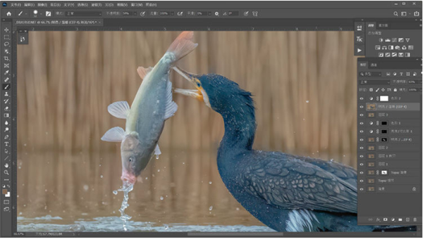黄玉图像AI快速降噪工具 Topaz DeNoise AI v2.2.7 汉化破解版