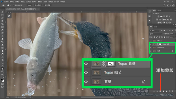 黄玉图像AI快速降噪工具 Topaz DeNoise AI v2.2.7 汉化破解版